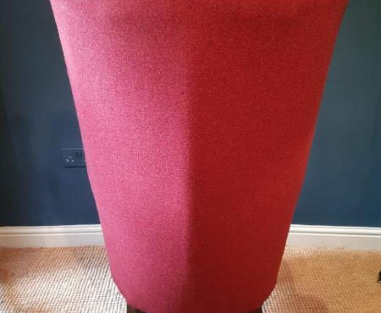 William IV Mahogany Framed Barrel Back Chair - Image 3