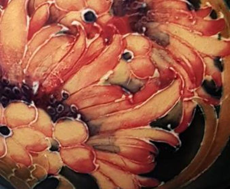 Impressive Moorcroft Cornflower Vase - Image 4