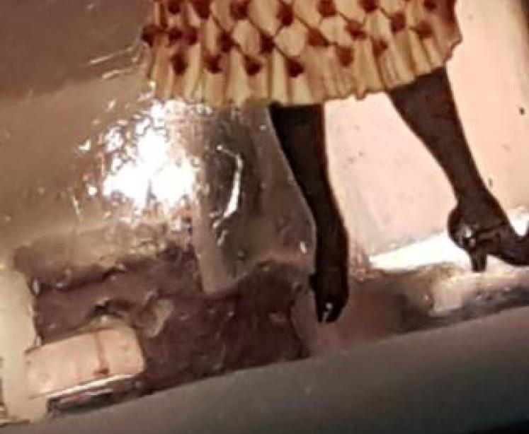 Outstanding Quality Silver and Enamel Cheroot Case - Image 6