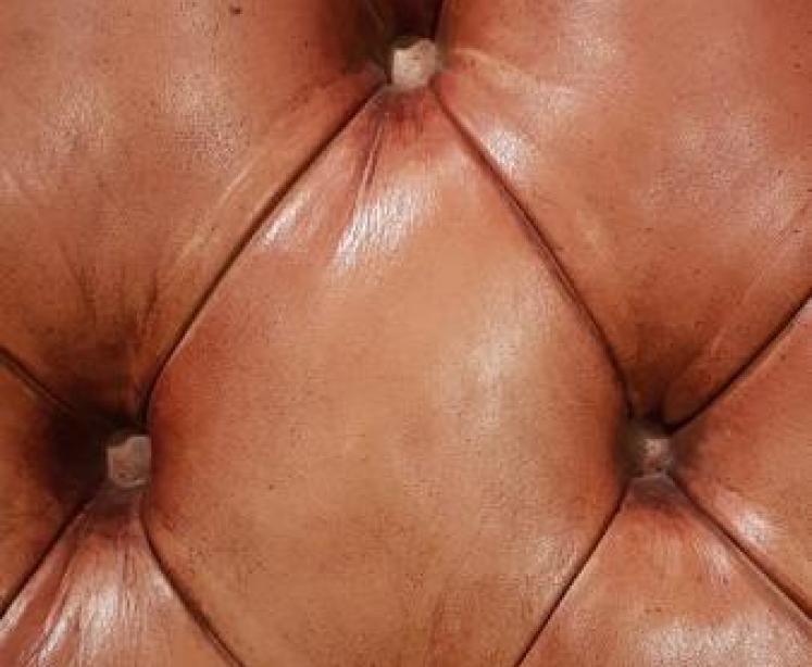 Edwardian Tan Leather Wing Back Arm Chair - Image 5