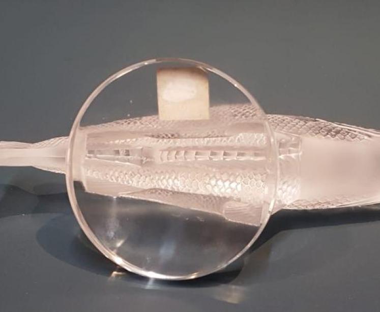 Lalique Fish - Image 4