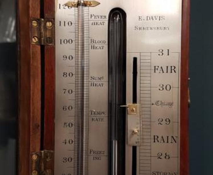Regency Mahogany Stick Barometer  - Image 2
