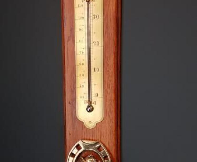 Edwardian Oak Thermometer and Paper Clip - Image 1