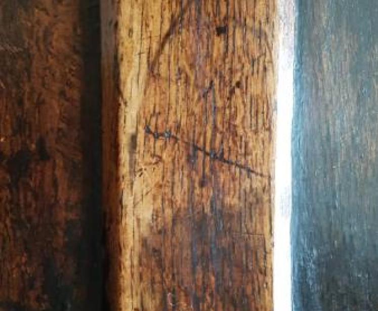 Period Oak Two Panel Coffer  - Image 7