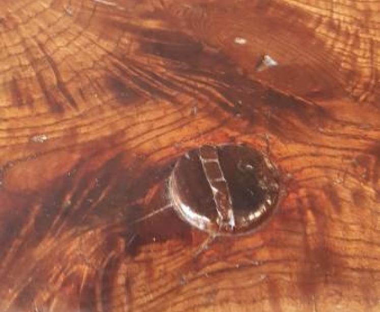 Georgian Primitive Ash Stool - Image 5