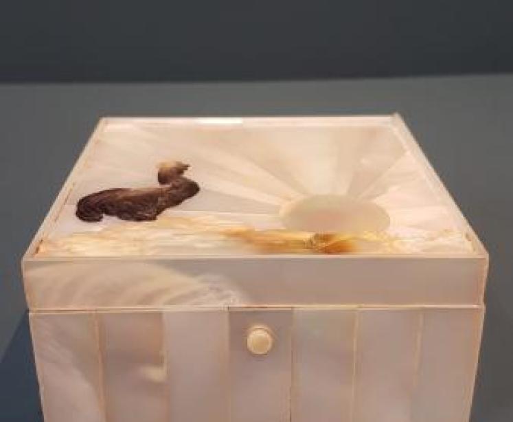 Superb Austrian Carved Mother of Pearl Table Box - Image 7