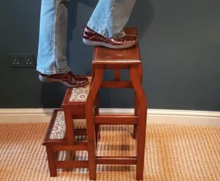 Victorian Mahogany Folding Library Steps - Image 7