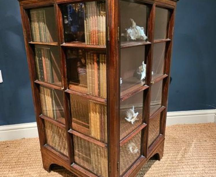 Georgian Four Sided Collectors Cabinet - Image 1