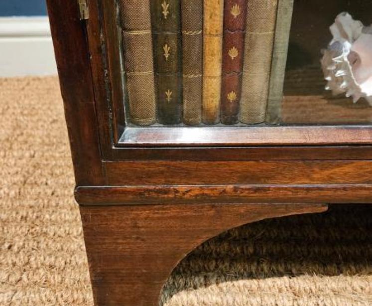 Georgian Four Sided Collectors Cabinet - Image 4