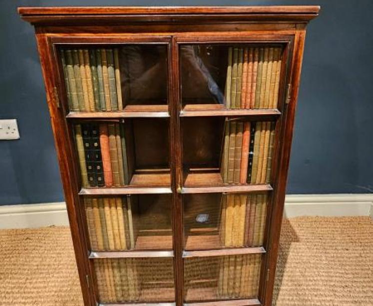 Georgian Four Sided Collectors Cabinet - Image 5