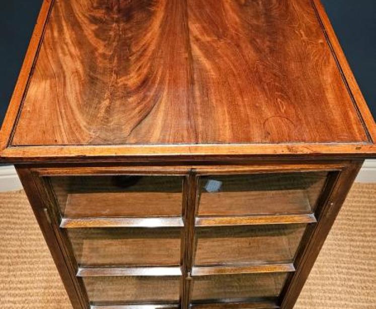 Georgian Four Sided Collectors Cabinet - Image 7