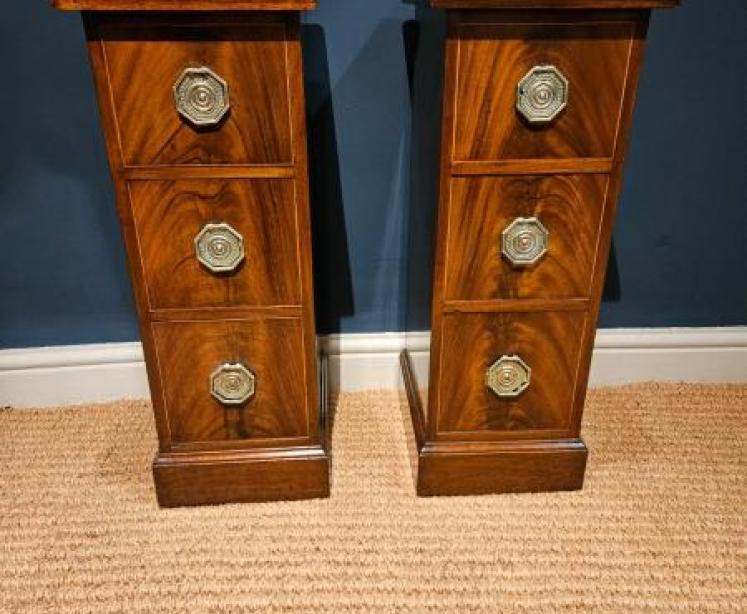 Pair of Early Victorian Narrow Chests - Image 1