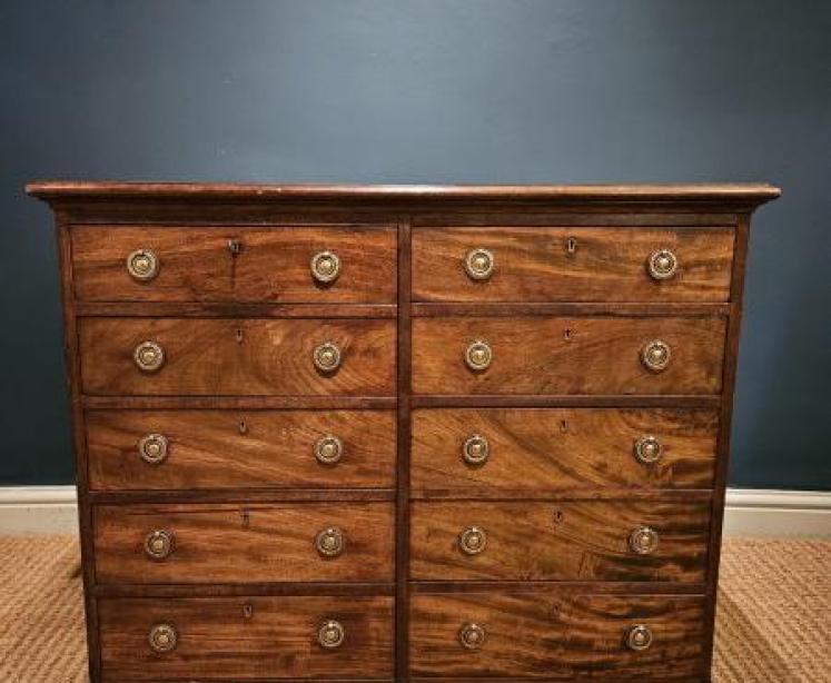 George III Mahogany Library Chest - Image 2