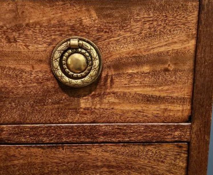 George III Mahogany Library Chest - Image 4