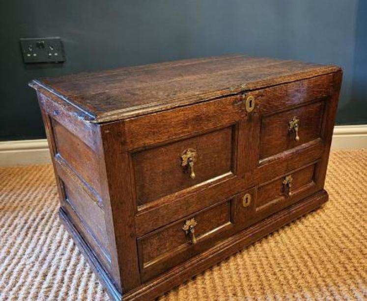 George I Oak Panelled Front Coffer Bach - Image 2