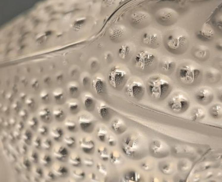 Lalique Sitting Toad - Image 6