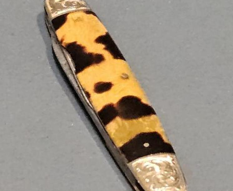 Victorian 9ct Gold and Tortoise Shell Pen Knife  - Image 1