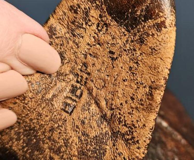 1930's Liberty's Leather Bulldog - Image 4