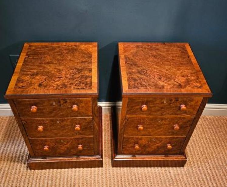 Pair of Victorian Walnut Bedside Chests - Image 3