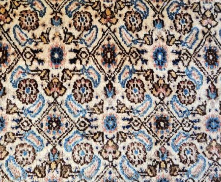 Persian Hearth Sized Wool Rug - Image 3
