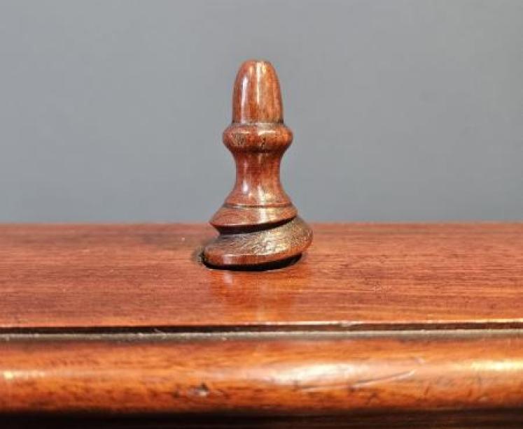 George III Mahogany Book Press - Image 6