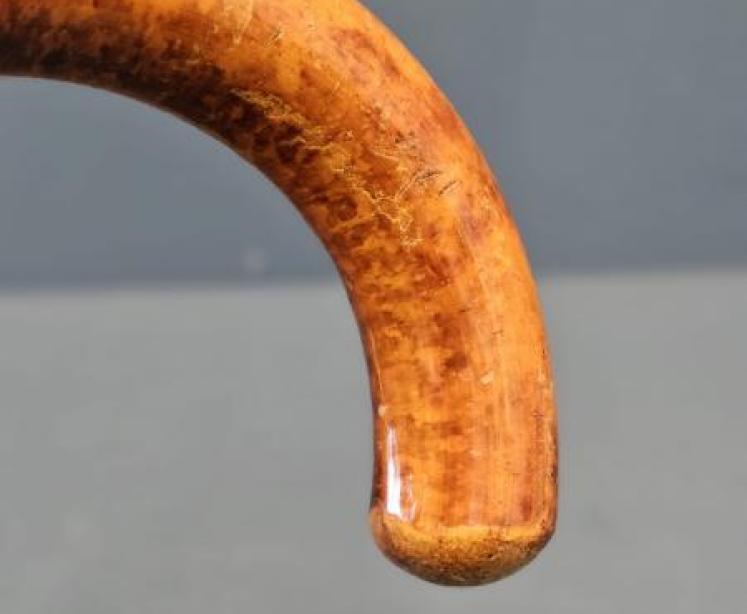 9ct Gold Mounted Birds Eye Maple Walking Stick - Image 5