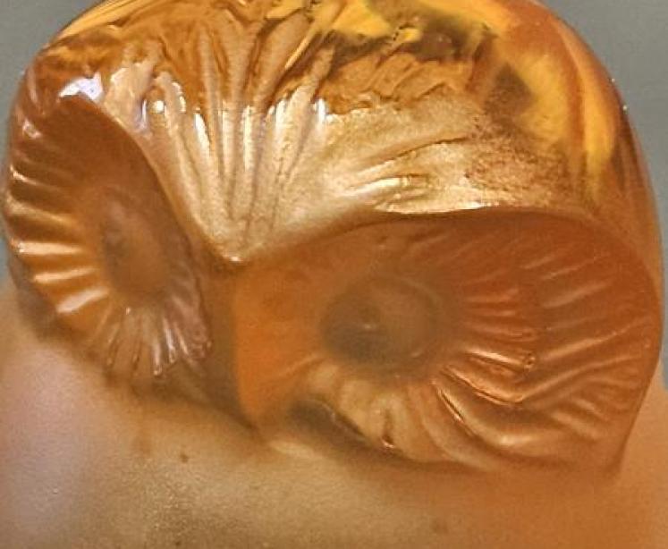 Lalique Amber Owl  - Image 5