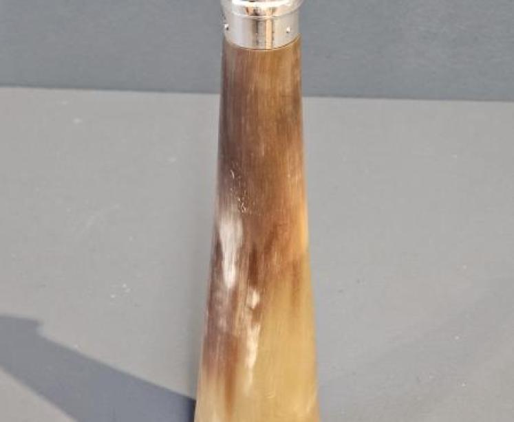Unusual Victorian Horn and Silver Hunting Flask - Image 1