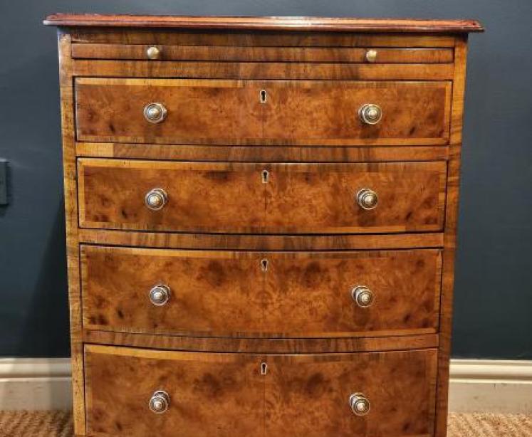 Small proportioned Victorian Burr Walnut Chest with Brushing Slide - Image 6