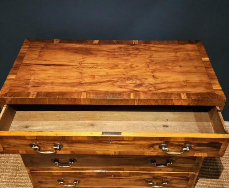 Superb Georgian Yew Wood Chest of Drawers - Image 7
