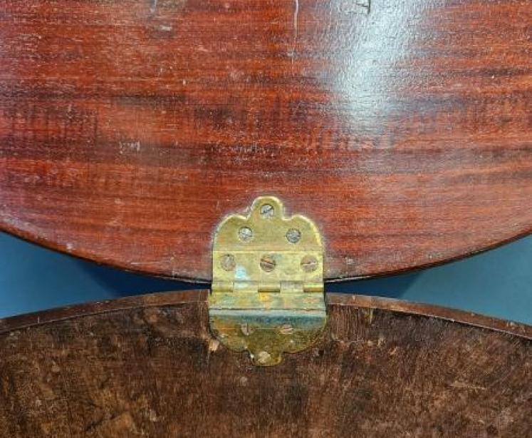 Georgian Mahogany and Brass Bound Ice Box - Image 7