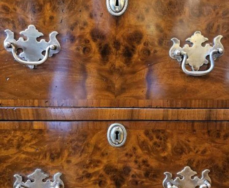 Victorian Burr Walnut Tallboy Chest - Image 3