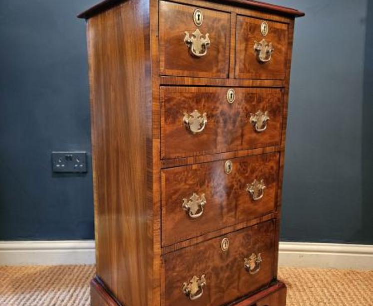 Victorian Burr Walnut Tallboy Chest - Image 6