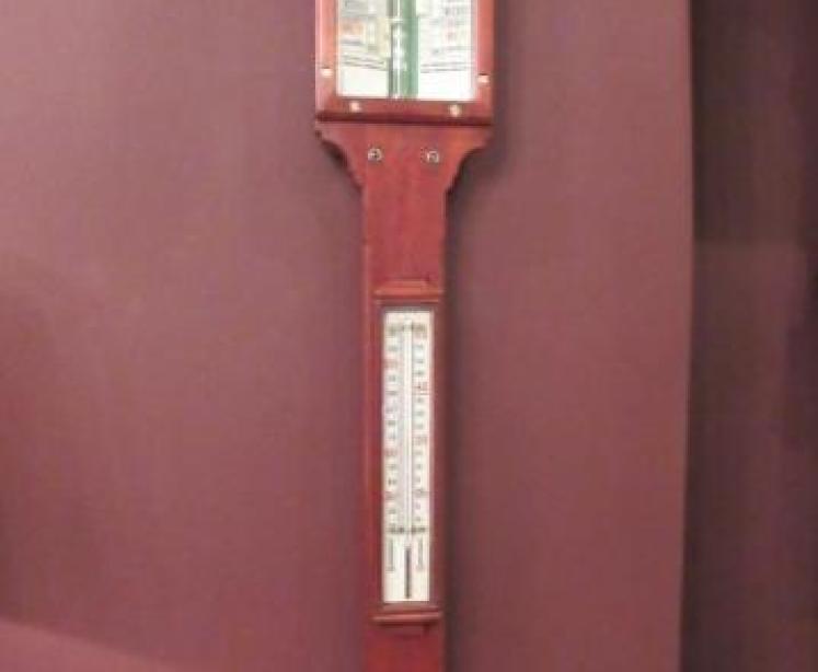 Superb Antique 'Sea-Coast' Stick Barometer - Image 5