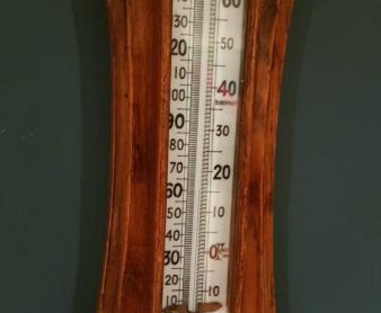 Victorian Carved Oak Banjo Barometer - Image 2