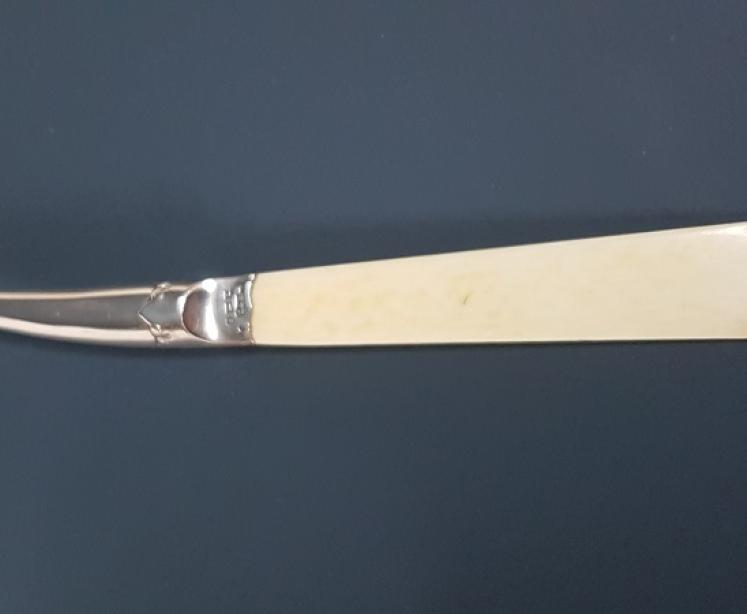 Victorian Silver And Bone Page Turner - Image 1