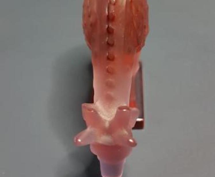 Lalique Opalescent Fawn - Image 3