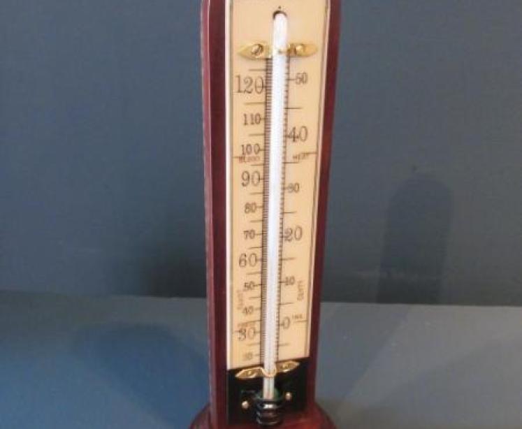 Antique Desk Top Mahogany & Bone Scale Thermometer - Image 1