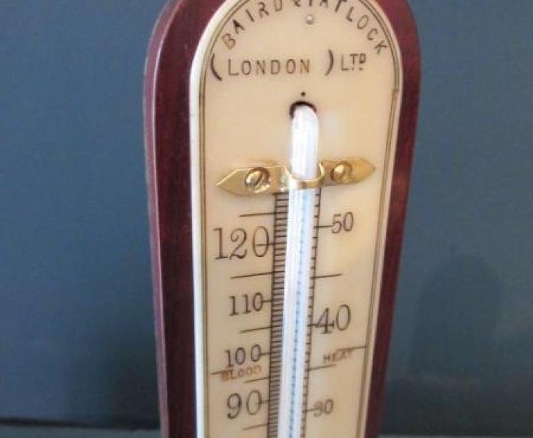 Antique Desk Top Mahogany & Bone Scale Thermometer - Image 2