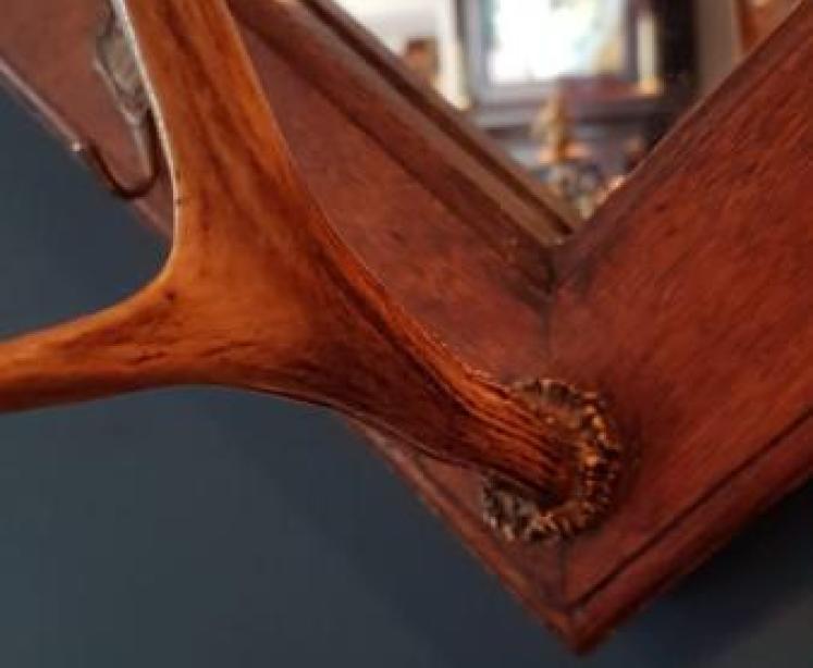 Edwardian Oak Hall Mirror With Antler Coat Hooks  - Image 5