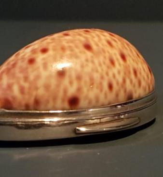Late Georgian Cowrie and Tortoise Shell Silver Mounted Snuff