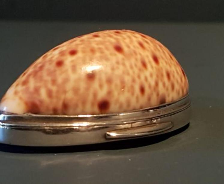 Late Georgian Cowrie and Tortoise Shell Silver Mounted Snuff - Image 1