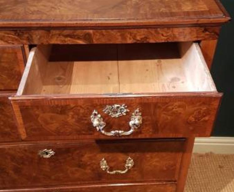 Superb Quality Victorian Burr Walnut Chest of Drawers - Image 4