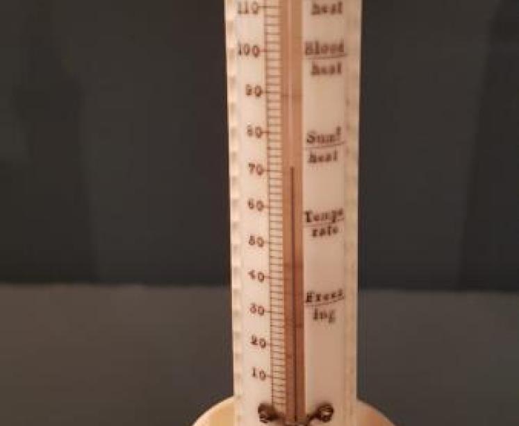 Antique Carved and Turned Bone Desk Thermometer  - Image 4