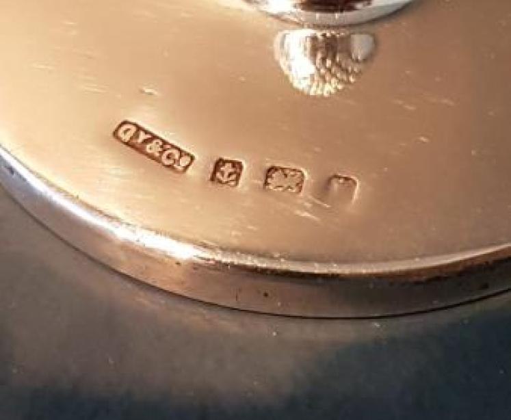 Silver Trump Marker - Image 4