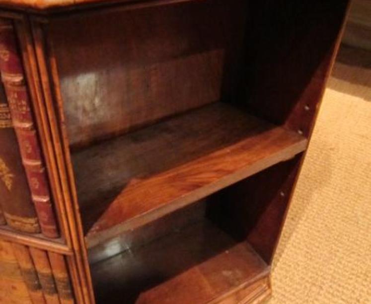 Superb Victorian Figured Revolving Book Table - Image 5