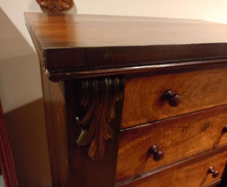 Early Victorian Rosewood Wellington Chest - Image 4