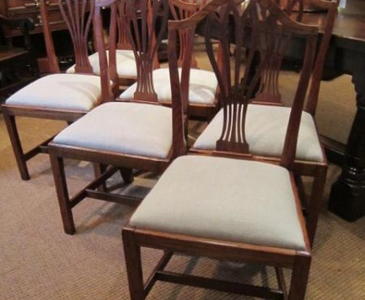Rare Set of George III Hepplewhite Country Dining Chairs - Image 1