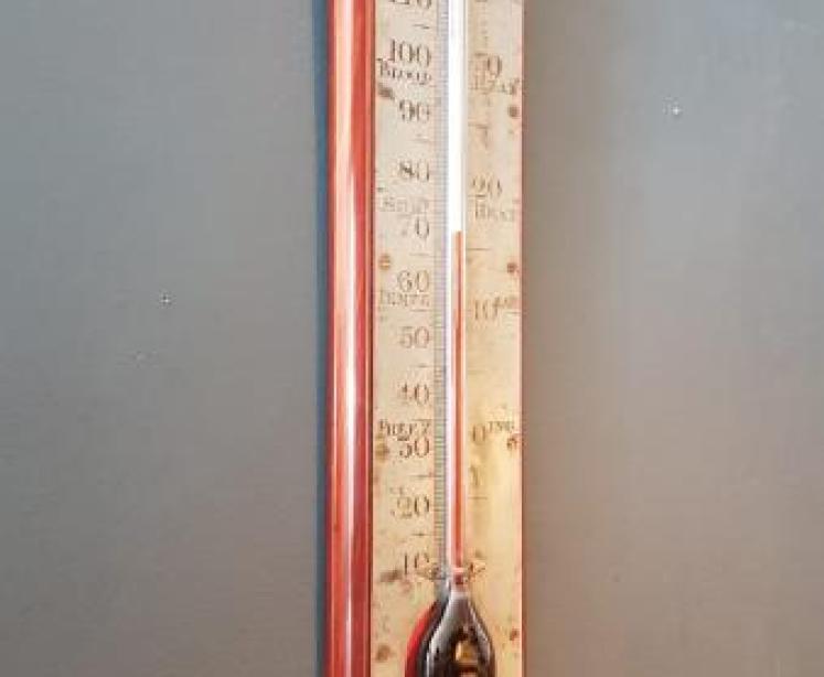 Large Mid 19th Century Dublin Wall Mounted Thermometer  - Image 2
