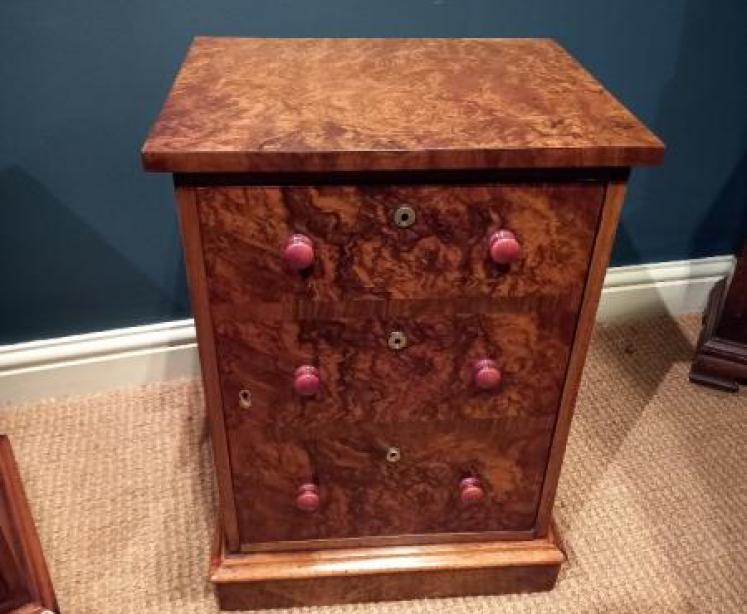 Pair of Victorian Burr Walnut Bedside Cabinets - Image 7